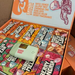 favorite mini 2g disposable